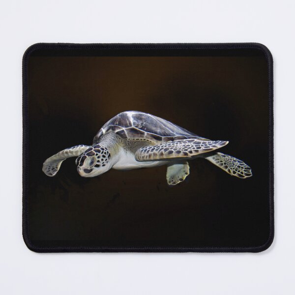 Item preview, Sea Turtle designed and sold by Savannah Gibbs.