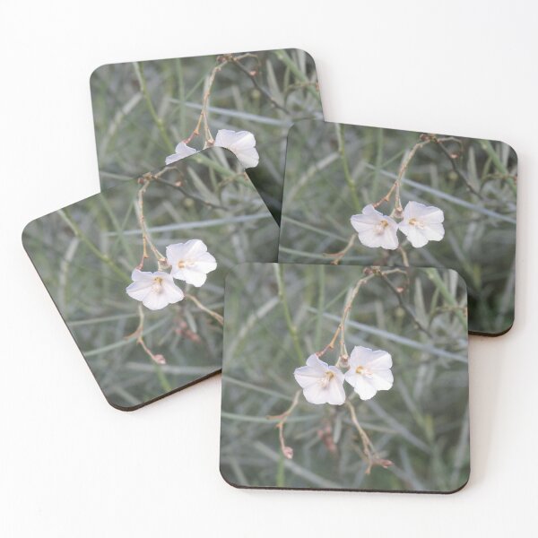 Item preview, Two white flowers designed and sold by greentiger1.