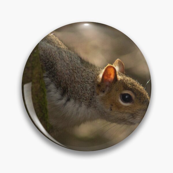 Item preview, Ardilla gris designed and sold by ellenmpics.