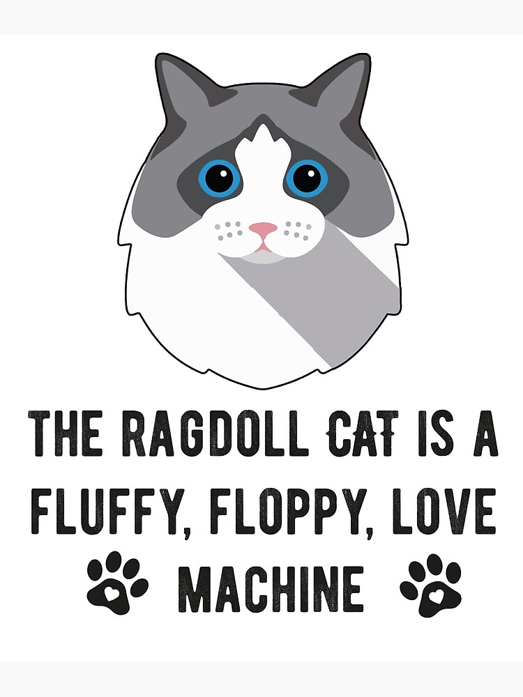 "Funny Ragdoll Cat, Ragdoll Owner Quote, The Ragdoll Cat Is A Floppy