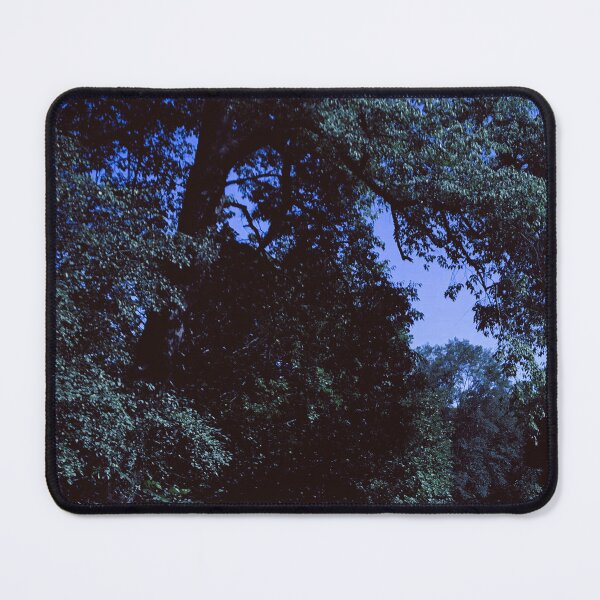 Item preview, larger 1:1 ratio dazecore aesthetic trees designed and sold by sielexis.