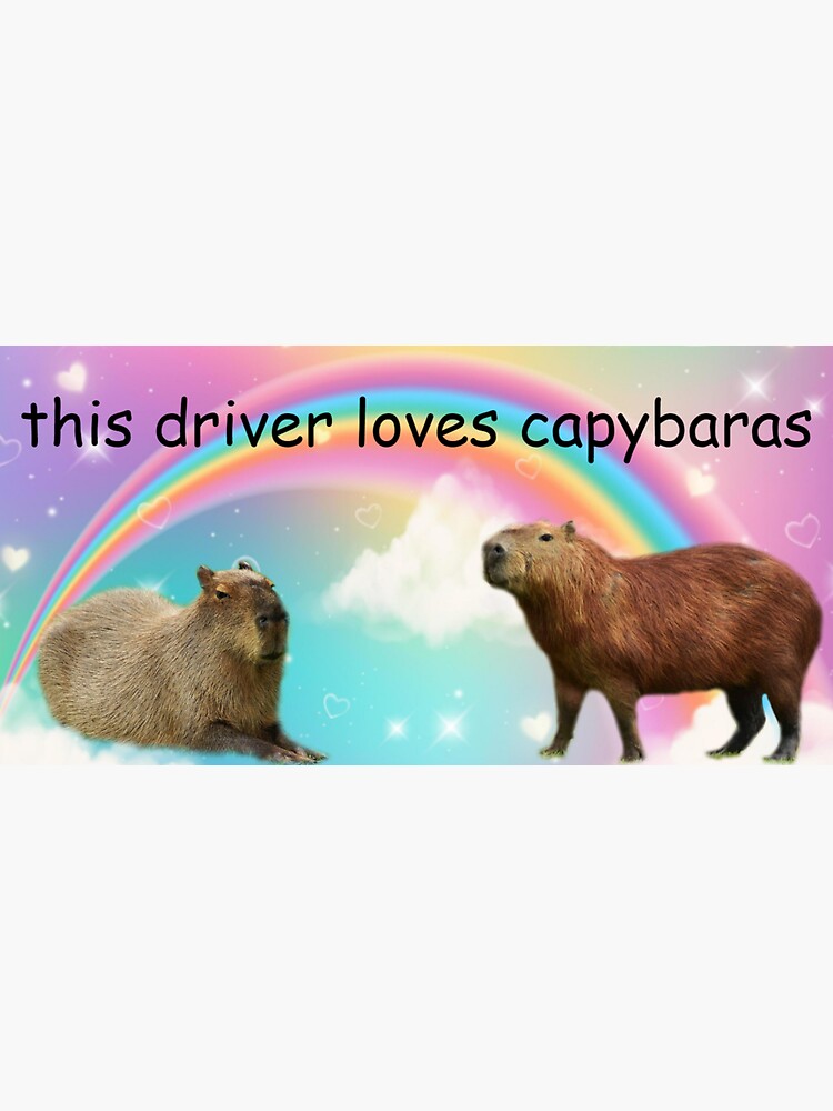 this driver loves capybaras | Magnet