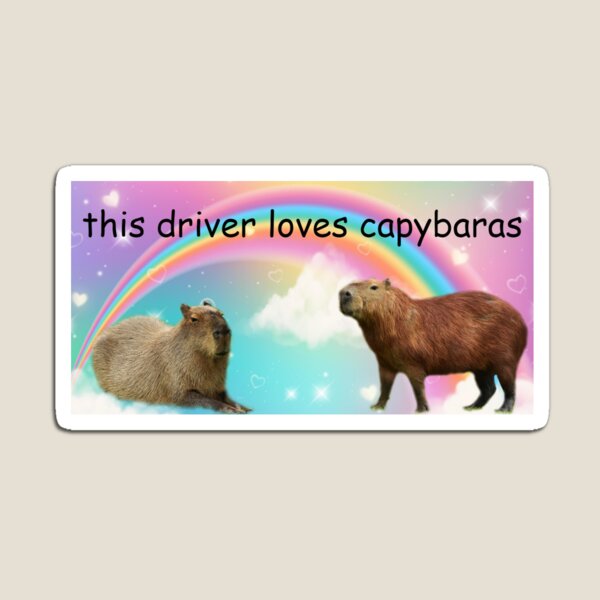 Capybara Meme Fußmatte - Jetzt kaufen und Spaß an deine Haustür bringen! –