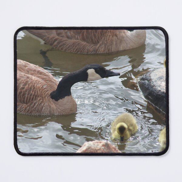 Item preview, Branta canadensis III designed and sold by zumi.