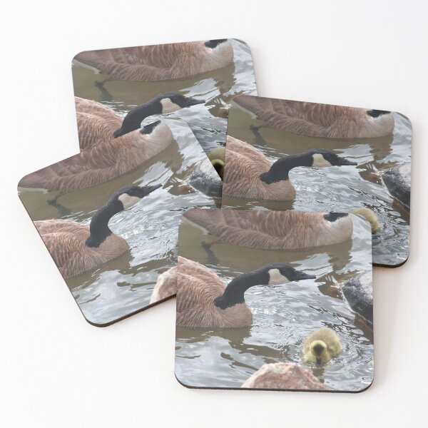 Item preview, Branta canadensis III designed and sold by zumi.