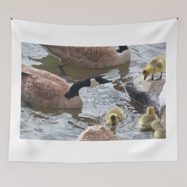 Item preview, Branta canadensis III designed and sold by zumi.