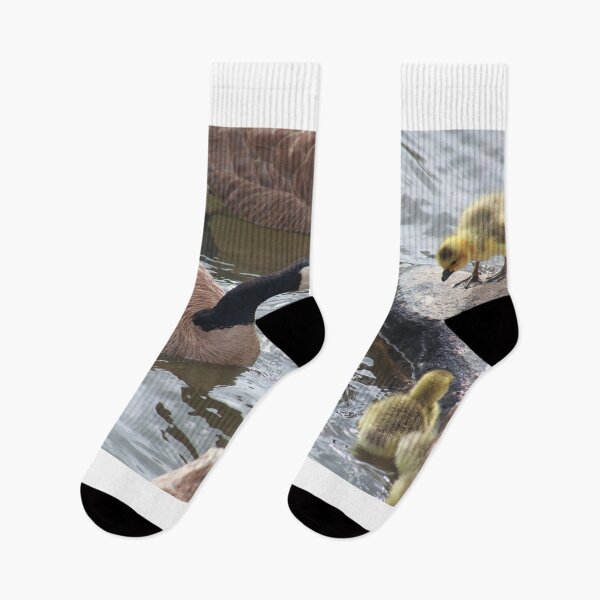 Item preview, Branta canadensis III designed and sold by zumi.
