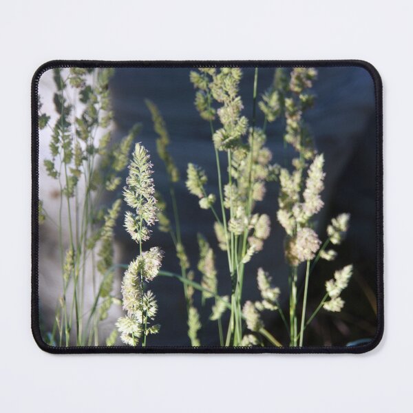 Item preview, Grass seed designed and sold by MagpieSprings.