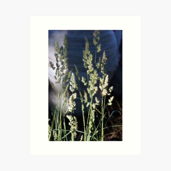 Item preview, Grass seed  designed and sold by MagpieSprings.