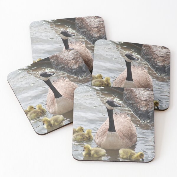 Item preview, Branta canadensis IV designed and sold by zumi.