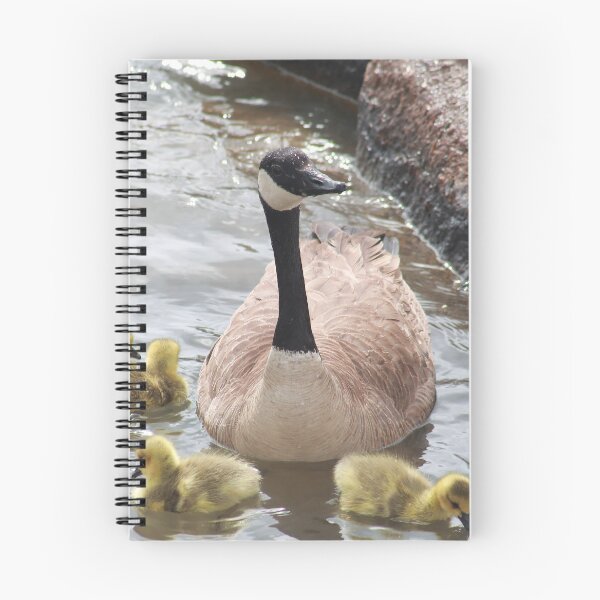 Item preview, Branta canadensis IV designed and sold by zumi.