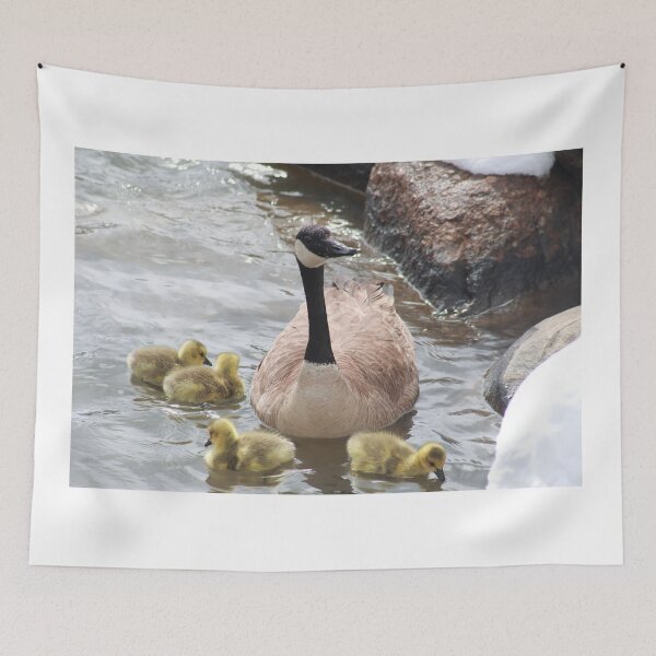 Item preview, Branta canadensis IV designed and sold by zumi.