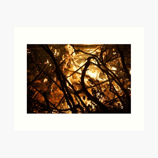 Item preview, Fireside by Avril Thomas at Magpie Springs designed and sold by MagpieSprings.