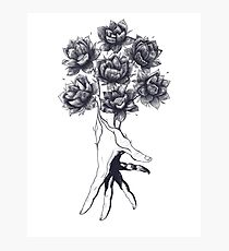 Hand with lotuses on black Photographic Print