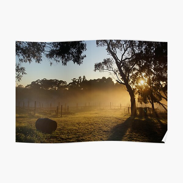 Sunrise over the vines by Avril Thomas at Magpie Springs Poster
