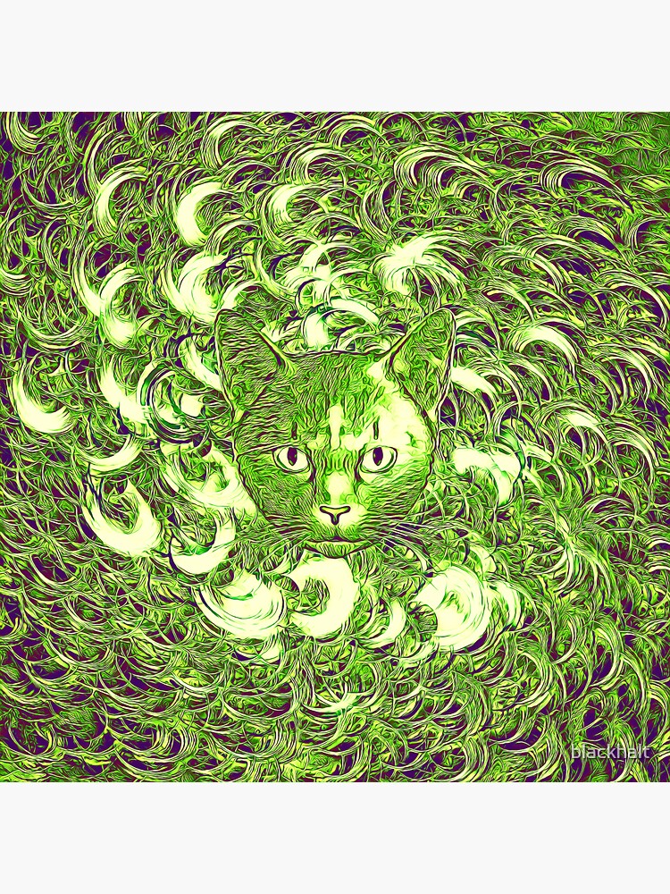 Hiding in fractal feathers by blackhalt