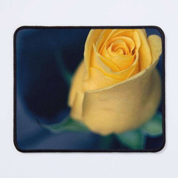 Item preview, Yellow rose on blue background designed and sold by olena2552.