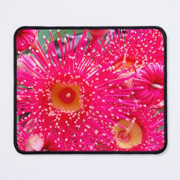 Item preview, Pink Flowering Gum designed and sold by smh2.