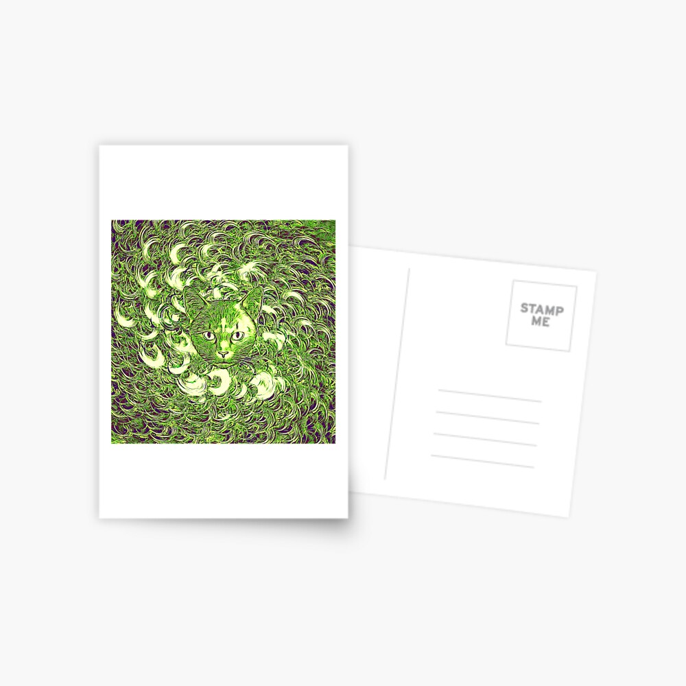 Hiding in fractal feathers Postcard