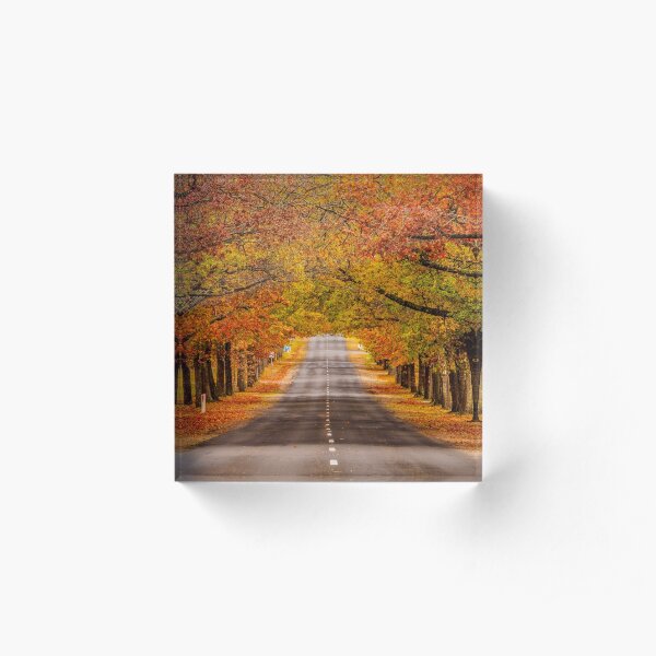 Honour Avenue Acrylic Block