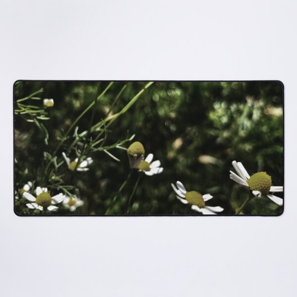 Item preview, Evening chamomile designed and sold by Trendature Online .