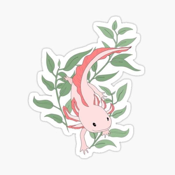 Axolotl Sticker