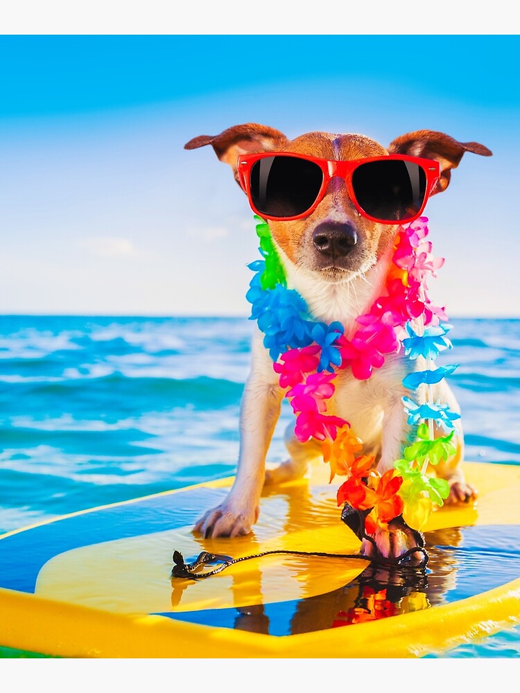 Surfing Dog wearing Dark Glass and Flowers, Funny Terrier Surfing