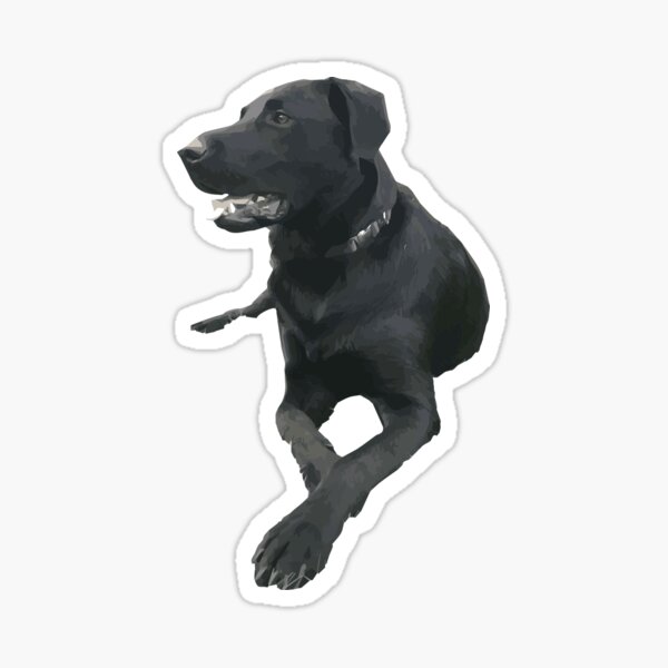 Paisley Sticker