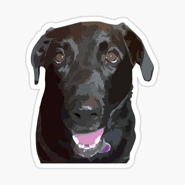 Paisley Face Sticker