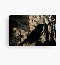 Bird on the wire Canvas Print