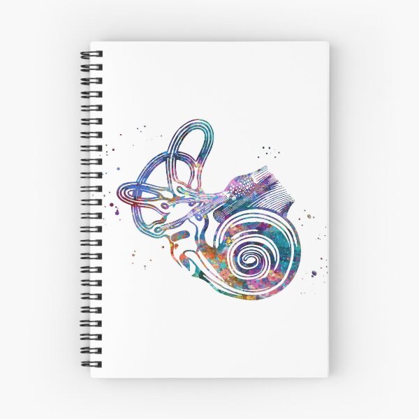 Item preview, Ear Anatomy Cochlea and Semicircular Canals designed and sold by EvasDreams.