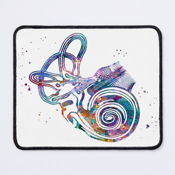 Item preview, Ear Anatomy Cochlea and Semicircular Canals designed and sold by EvasDreams.