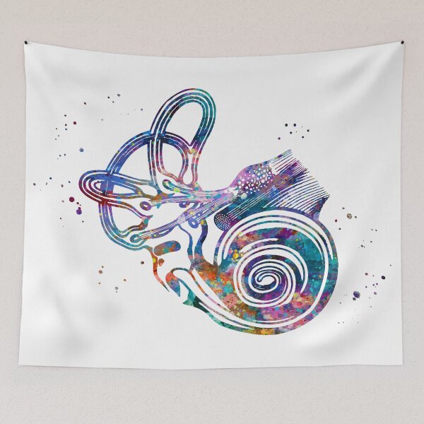 Item preview, Ear Anatomy Cochlea and Semicircular Canals designed and sold by EvasDreams.