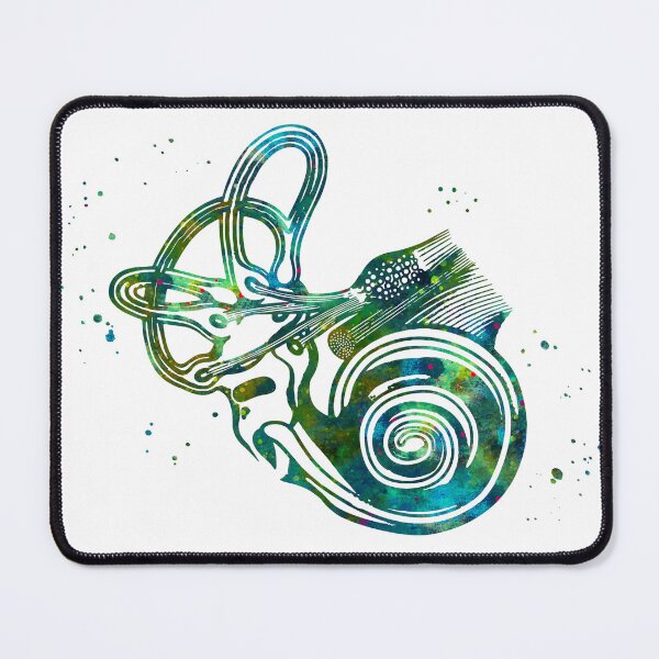 Item preview, Ear Anatomy Cochlea and Semicircular Canals designed and sold by EvasDreams.