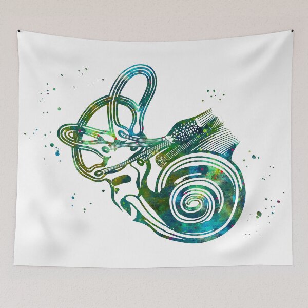 Item preview, Ear Anatomy Cochlea and Semicircular Canals designed and sold by EvasDreams.