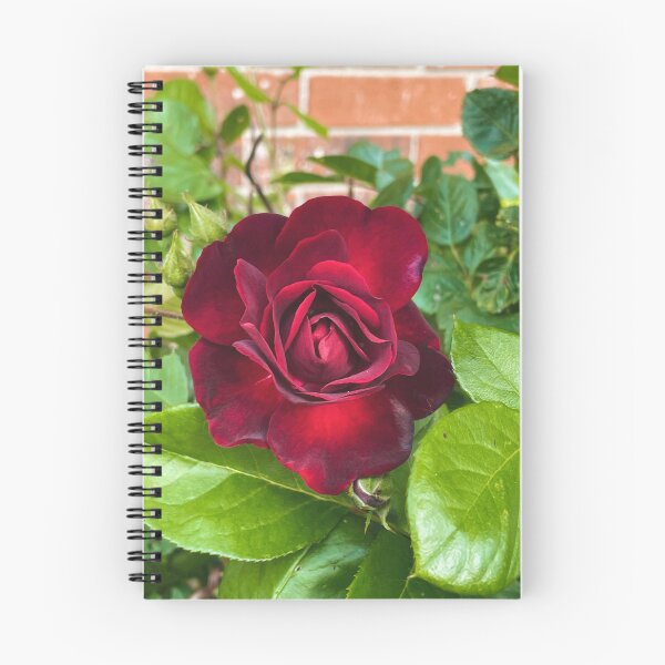 Item preview, Beauty is found within  designed and sold by Timstarstudio.