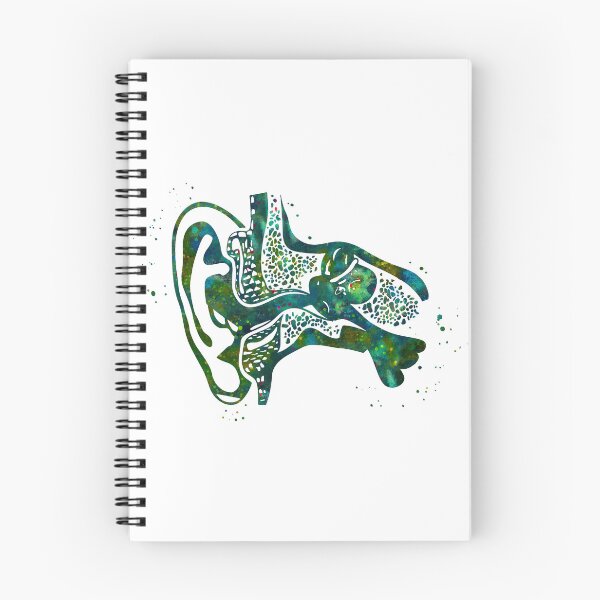 Item preview, Ear Canal Anatomy Cross Section designed and sold by EvasDreams.