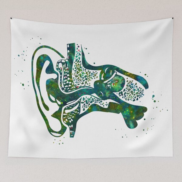 Item preview, Ear Canal Anatomy Cross Section designed and sold by EvasDreams.