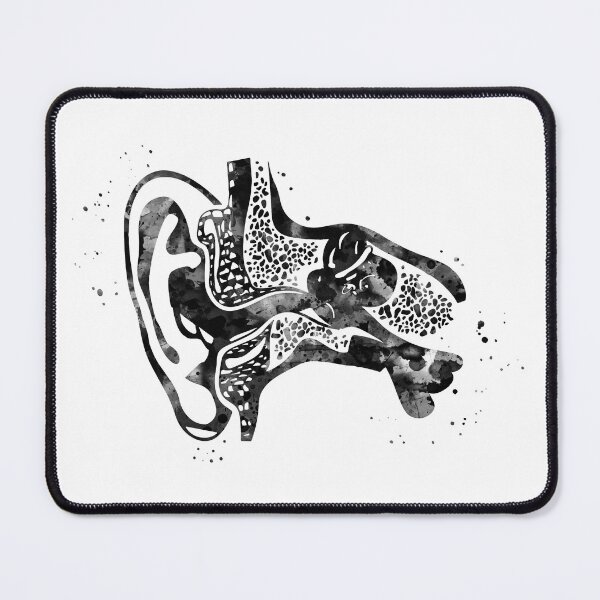Item preview, Ear Canal Anatomy Cross Section designed and sold by EvasDreams.