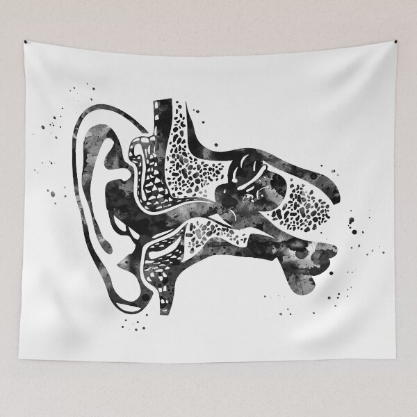 Item preview, Ear Canal Anatomy Cross Section designed and sold by EvasDreams.