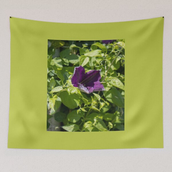 Item preview, Morning Glory designed and sold by Carly-Chapman.