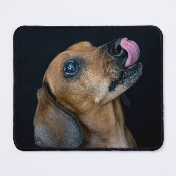 Item preview, Tan Dachshund Licking Lips designed and sold by houseofhound.