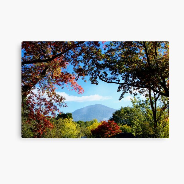 Item preview, Mt Macedon, viewed from Macedon designed and sold by Susan Henry.