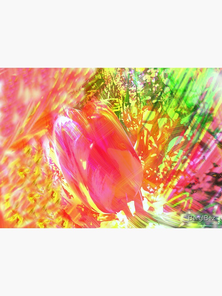 Springtime Tulip by BerylBez
