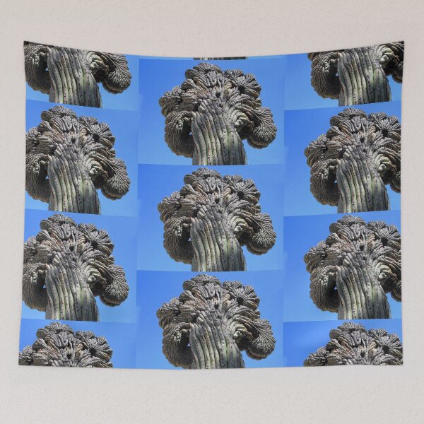 Item preview, Crested Saguaro designed and sold by DAdeSimone.