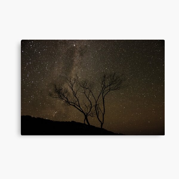 Astrophotography in Wilsons Promontory National Park Canvas Print