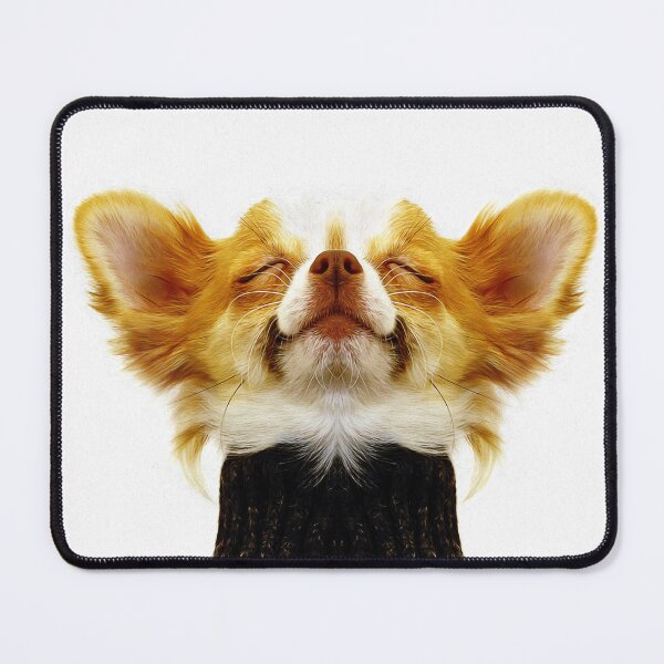 Item preview, Chihuahua showing contentment Cute Puppy Sleeping Mouth nose Dog designed and sold by Dolphin Graphic.