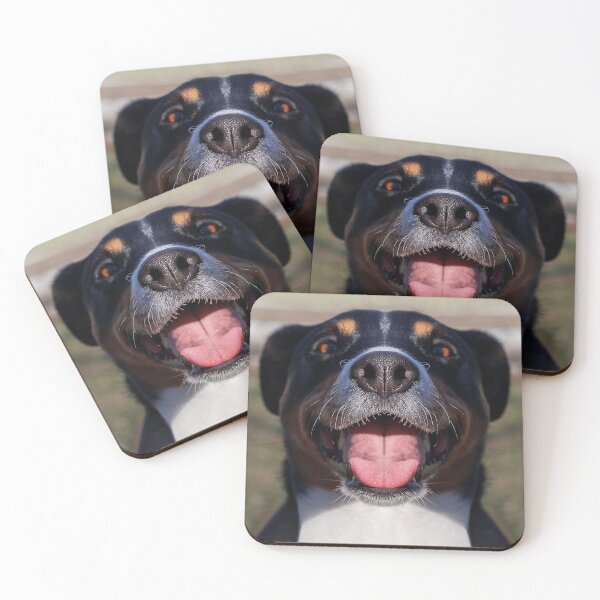 Item preview, Appenzeller Mountain Dog show toungue Black Cute Pet licking Close up Mouth designed and sold by Dolphin Graphic.