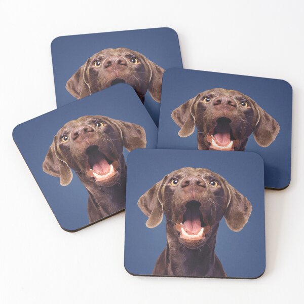 Item preview, Labrador Brown Portrait Showing Tongue blue background and Teeth fit your face and nose designed and sold by Dolphin Graphic.