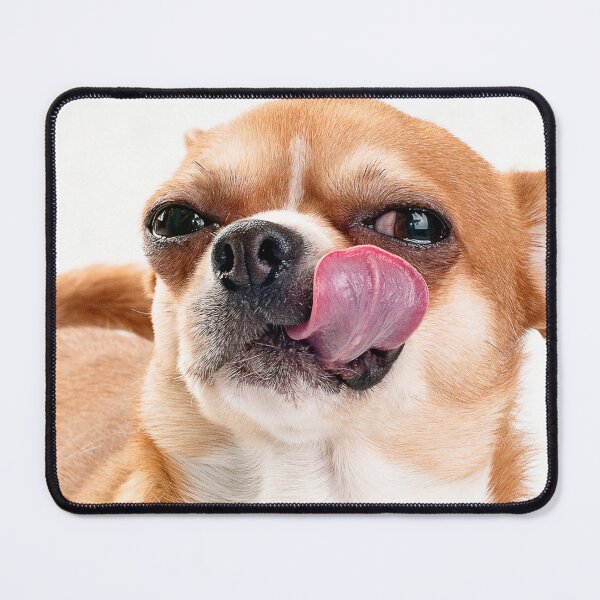 Item preview, Cool Chihuahua licking and looking cute Animals Gifts Safe Face protection covering Men Women designed and sold by Dolphin Graphic.